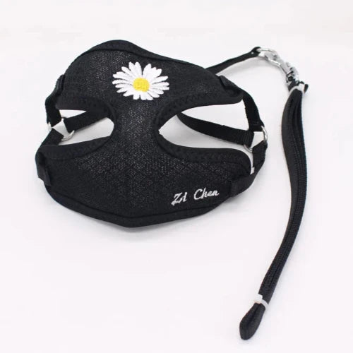 Collier pour Chihuahua : harnais noir avec motifs fleurs et une laisse. Tendance, pour offrir confort et sécurité à votre petit chien ou chat
