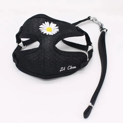 Collier pour Chihuahua : harnais noir avec motifs fleurs et une laisse. Tendance, pour offrir confort et sécurité à votre petit chien ou chat