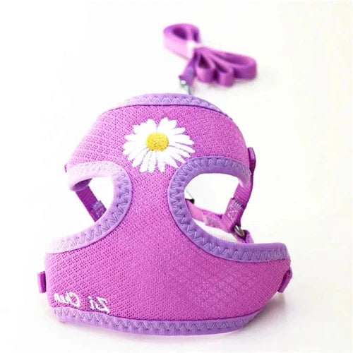 Collier pour Chihuahua : harnais violet avec motifs fleurs et une laisse. Tendance, pour offrir confort et sécurité à votre petit chien ou chat