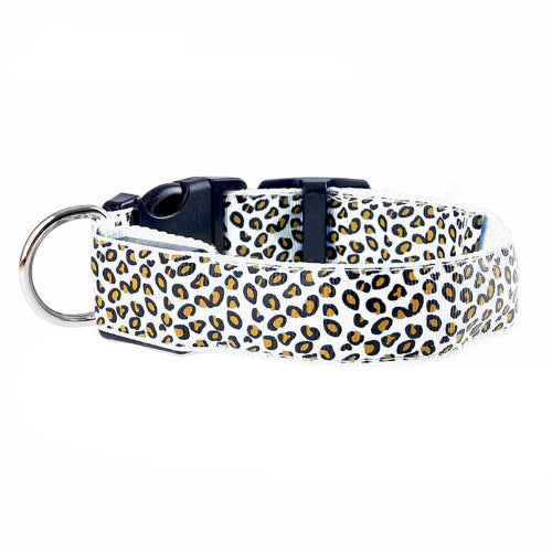 Collier Chihuahua : LED Blanc motif Léopard