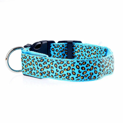 Collier pour chiens bleu aux motifs Léopard avec éclairage LED. Confortable, convient aux petits chiens, chihuahuas, ou aux chats. Vendu dans la boutique « Mon Petit Chihuahua »
