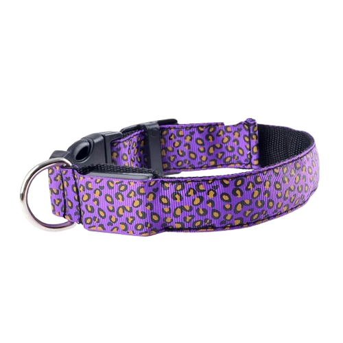 Collier pour chiens violet aux motifs Léopard avec éclairage LED. Confortable, convient aux petits chiens, chihuahuas, ou aux chats. Vendu dans la boutique « Mon Petit Chihuahua »
