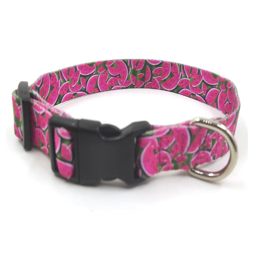 Collier Chihuahua : Motifs Pastèques