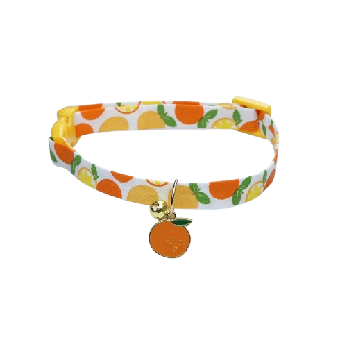 Chihuahua Collar: Orange