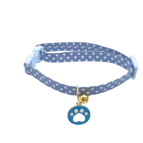 Collier Chihuahua : Patte Bleue