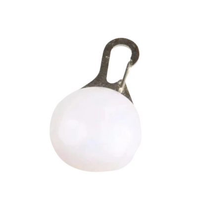 Collier pour Chihuahua : porte clé blanc avec éclairage LED. Élégant, pour offrir confort et sécurité à votre petit chien ou chat