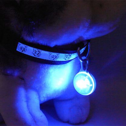 Collier pour Chihuahua : pendentif bleu avec éclairage LED. Tendance, pour offrir confort et sécurité à votre petit chien ou chat