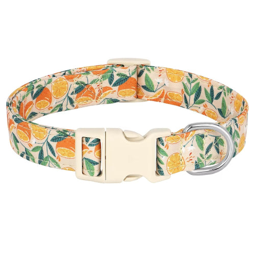 Collier pour Chihuahua en tissu orange avec motifs fleurs. Tendance, pour offrir confort et sécurité à votre petit chien ou chat