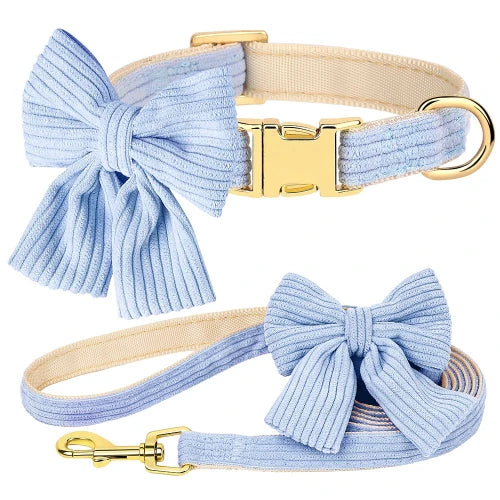Collier pour Chihuahua en velours bleu avec noeud papillon et une laisse pour offrir confort et sécurité à votre petit chien ou chat