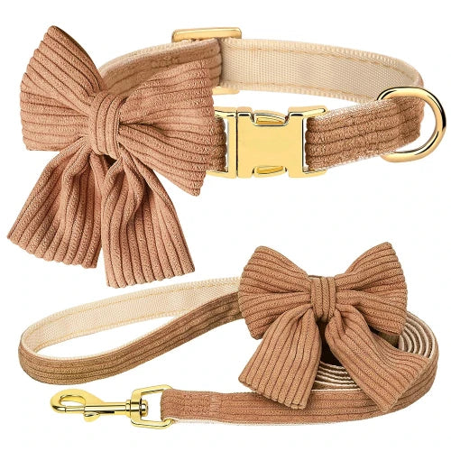 Collier pour Chihuahua en velours marron avec noeud papillon et une laisse pour offrir confort et sécurité à votre petit chien ou chat