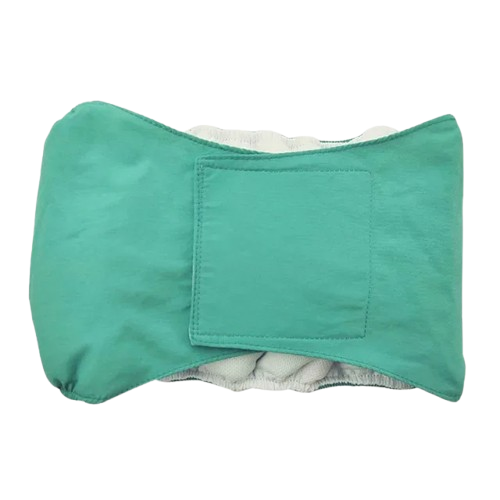 Chihuahua Accessory: Male Diaper