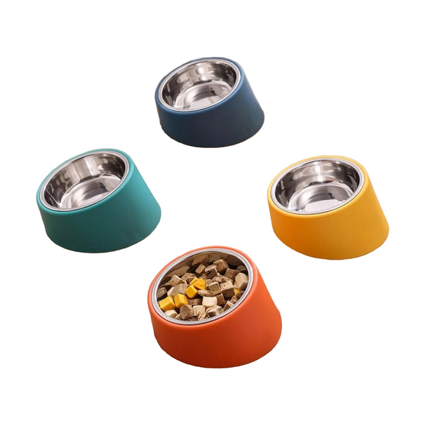 Dog Bowl: Colorful Slanted