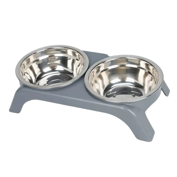Dog Bowl: Raised black or gray