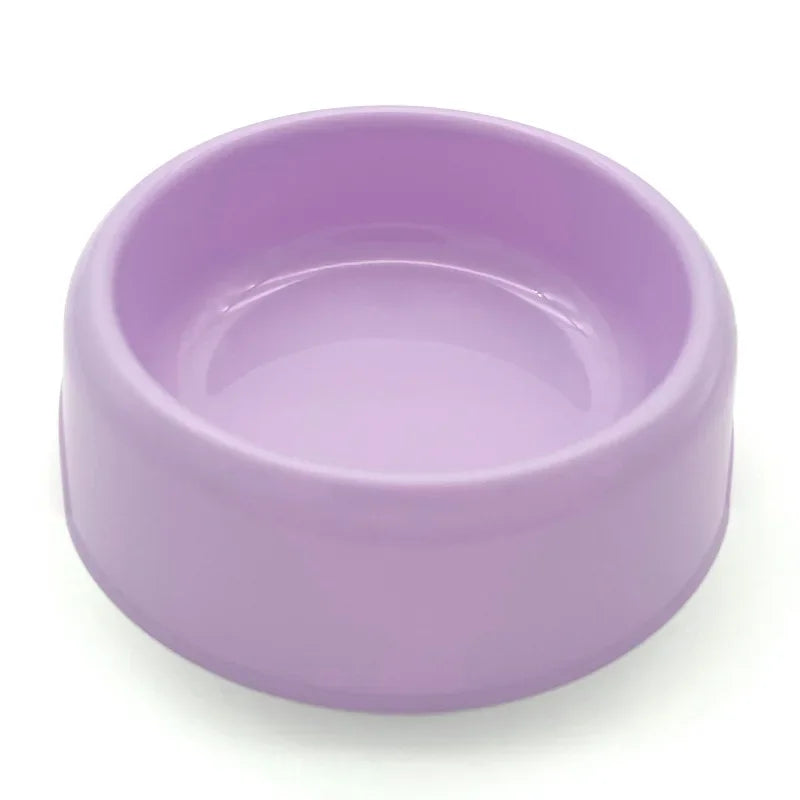 Gamelle simple en plastique résistant, couleur violet. Adaptée aux petits chiens et aux chats. Vendue sur la boutique Mon Petit Chihuahua. 