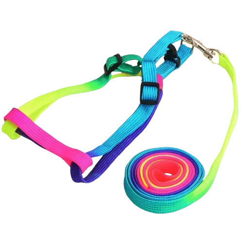 Chihuahua Harness: Rainbow + Leash