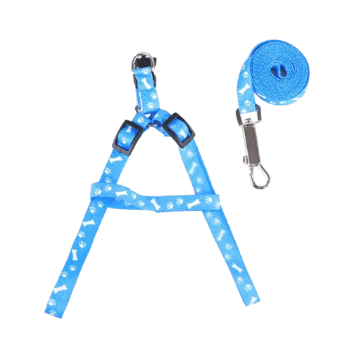 Chihuahua Harness: Light Blue Bone Pattern + Leash