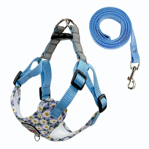 Harnais bleu avec motifs fleurs Pâquerettes et sa laisse assortie pour petit chien. Réglable et confortable, convient aux petits chiens, chihuahuas, ou aux chats.