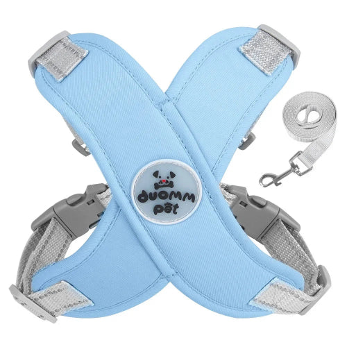 Harnais bleu et gris et sa laisse assortie pour petit chien. Réglable et confortable, convient aux petits chiens, chihuahuas, ou aux chats.