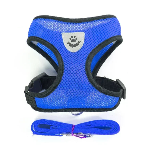 Chihuahua Harness: Blue and Black + Leash