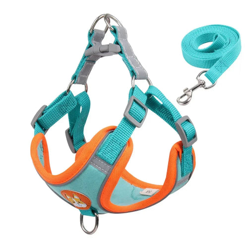 Harnais bleu et orange pour petit chien avec sa laisse assortie. Confortable, convient aux petits chiens, chihuahuas, ou aux chats.