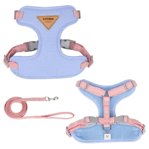 Harnais bleu et rose pour petit chien avec sa laisse assortie. Confortable, convient aux petits chiens, chihuahuas, ou aux chats.