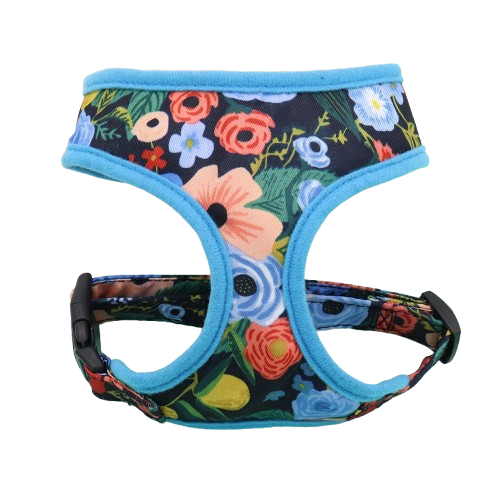 Harnais bleu avec motifs fleurs pour chiens. Confortable, convient aux petits chiens, chihuahuas, ou aux chats. Vendu dans la boutique « Mon Petit Chihuahua »
