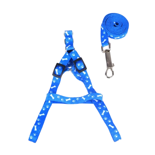 Chihuahua Harness: Blue Bone Pattern + Leash