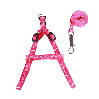 Harnais fuchsia aux motifs os pour petit chien avec sa laisse assortie. Confortable, convient aux petits chiens, chihuahuas, ou aux chats.