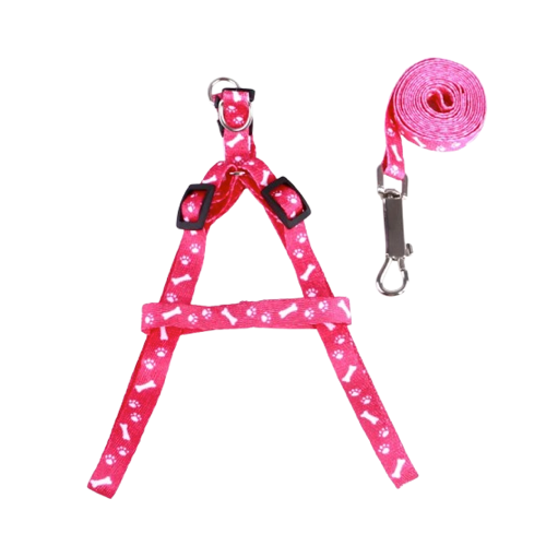 Chihuahua Harness: Fuchsia Bone Pattern + Leash