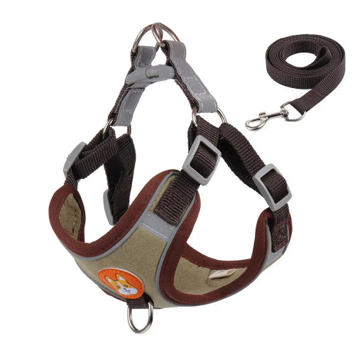 Harnais marron pour petit chien avec sa laisse assortie. Confortable, convient aux petits chiens, chihuahuas, ou aux chats.