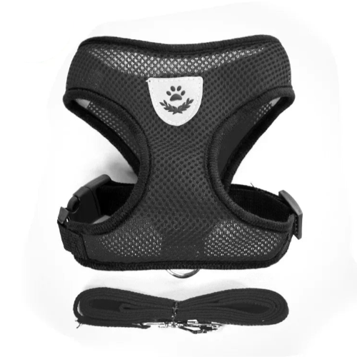 Chihuahua Harness: Black with Leash