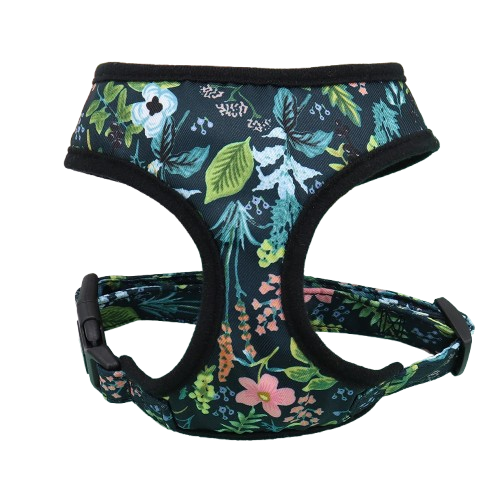 Harnais noir avec motifs fleurs pour chiens. Confortable, convient aux petits chiens, chihuahuas, ou aux chats. Vendu dans la boutique « Mon Petit Chihuahua »

