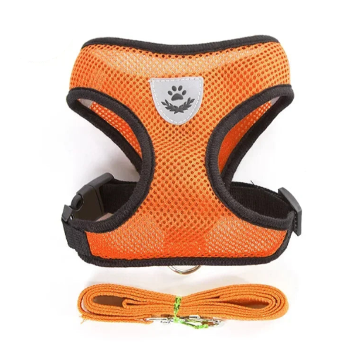 Chihuahua Harness: Orange and Black + Leash