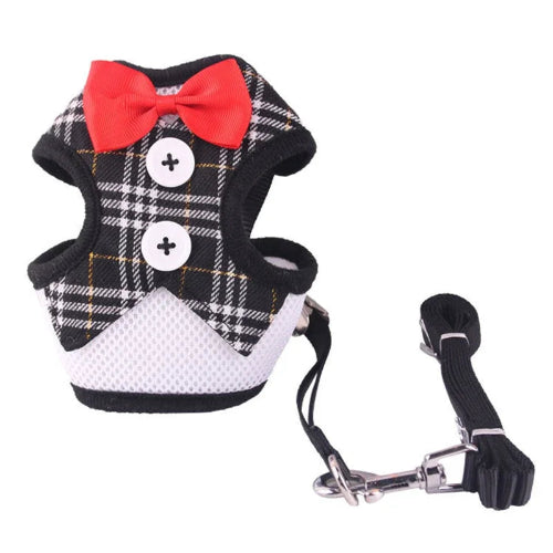 Harnais pour chiens en forme de petit smoking noir à carreaux avec sa laisse assortie. Confortable, convient aux petits chiens, chihuahuas, ou aux chats. Vendu dans la boutique « Mon Petit Chihuahua »
