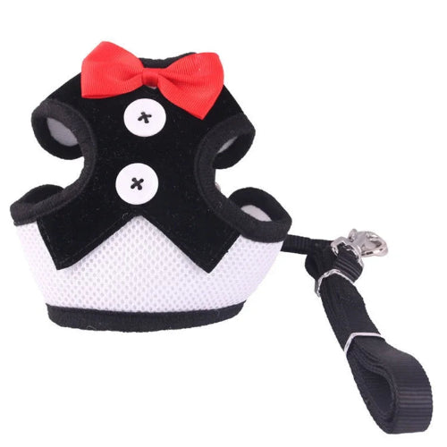 Harnais pour chiens en forme de petit smoking noir avec sa laisse assortie. Confortable, convient aux petits chiens, chihuahuas, ou aux chats. Vendu dans la boutique « Mon Petit Chihuahua »