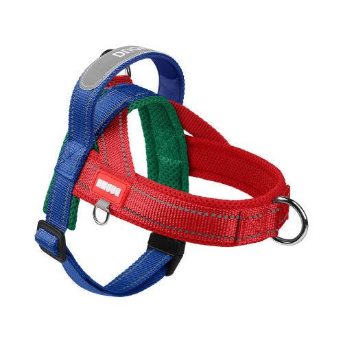 Harnais résistant bleu et rouge pour chiens. Confortable, convient aux petits chiens, chihuahuas, ou aux chats. Vendu dans la boutique « Mon Petit Chihuahua »
