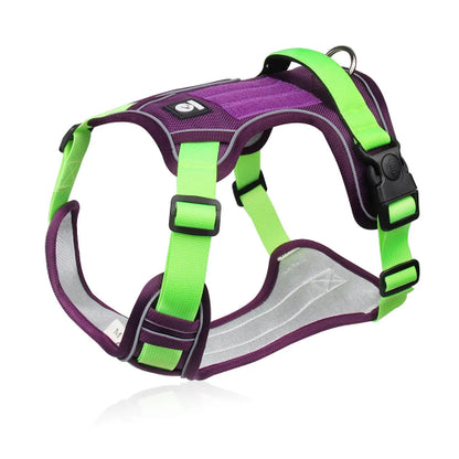 Harnais pour chiens résistant violet et vert. Confortable, convient aux petits chiens, chihuahuas, ou aux chats. Vendu dans la boutique « Mon Petit Chihuahua »