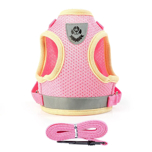 Harnais Chihuahua : Rose Réfléchissant + Laisse
