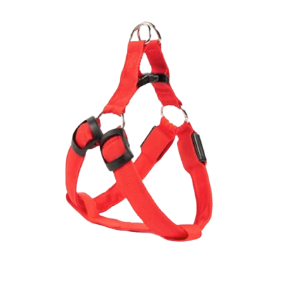 Chihuahua Harness: Red LED Light