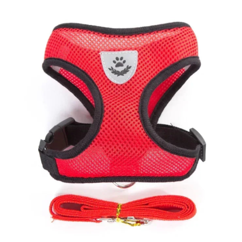 Chihuahua Harness: Red and Black + Leash