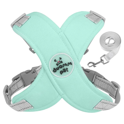 Harnais vert et gris et sa laisse assortie pour petit chien. Réglable et confortable, convient aux petits chiens, chihuahuas, ou aux chats.
