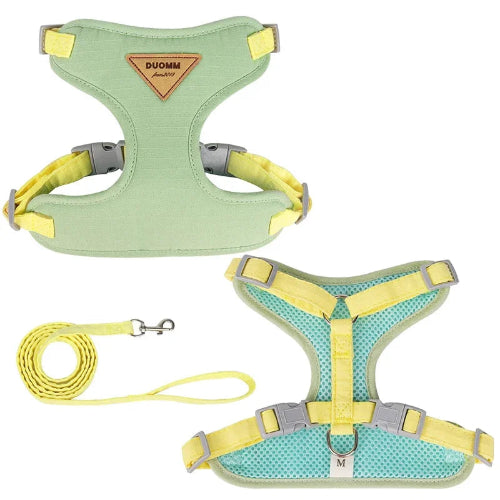 Harnais vert et jaune pour petit chien avec sa laisse assortie. Confortable, convient aux petits chiens, chihuahuas, ou aux chats.