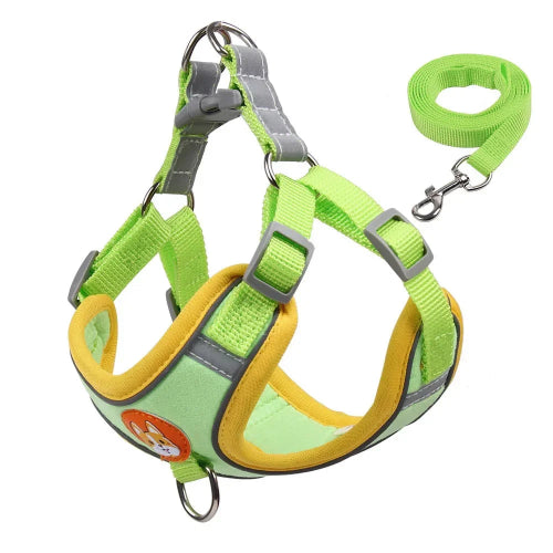 Harnais vert et jaune pour petit chien avec sa laisse assortie. Confortable, convient aux petits chiens, chihuahuas, ou aux chats.
