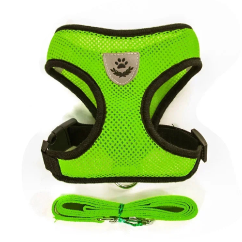 Chihuahua Harness: Green and Black + Leash