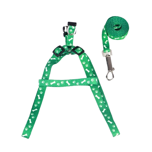 Chihuahua Harness: Green Bone Pattern + Leash