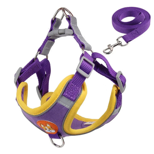 Chihuahua Harness: Purple and Yellow + Leash