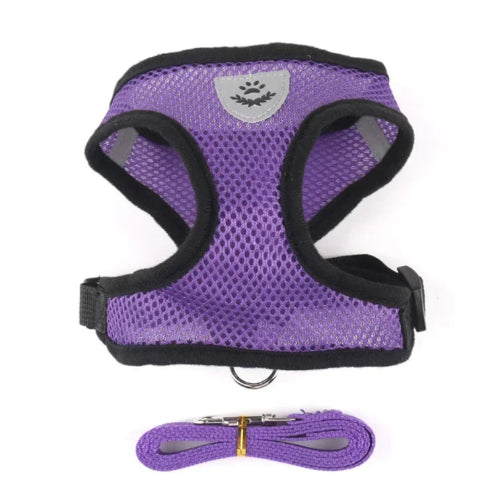 Chihuahua Harness: Purple and Black + Leash