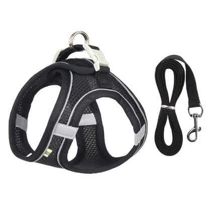 Harnais noir et gris et une laisse pour Chihuahua – parfaits pour des promenades sécurisées avec votre petit chien ou chat