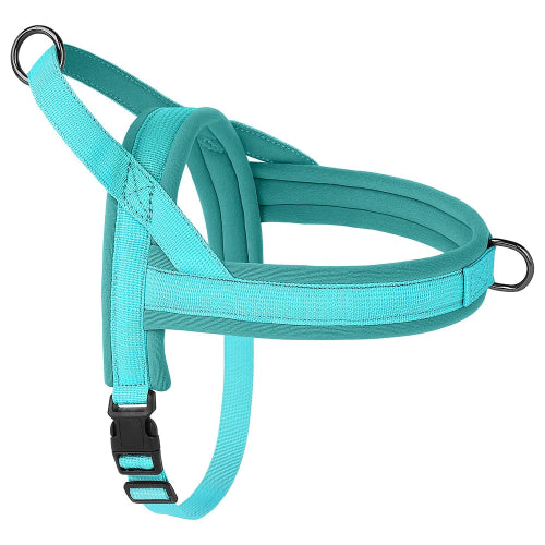 Harnais bleu cyan résistant en nylon pour chiens. Confortable, convient aux petits chiens, chihuahuas, ou aux chats. Vendu dans la boutique « Mon Petit Chihuahua »