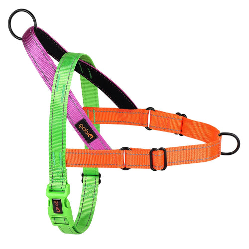 Harnais orange et vert et violet résistant en nylon pour chiens. Confortable, convient aux petits chiens, chihuahuas, ou aux chats. Vendu dans la boutique « Mon Petit Chihuahua »
